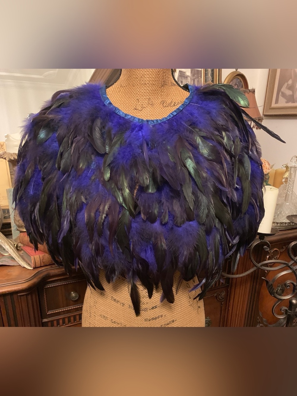 Vintage Absolutely Breathtaking Gothic Regal Royal Blue Black Green Feather Cape